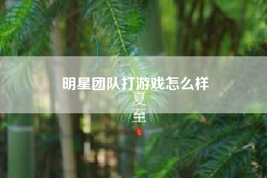 明星团队打游戏怎么样