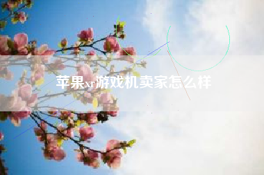 苹果xr游戏机卖家怎么样