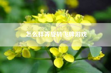 怎么样弄旋转飞牌游戏