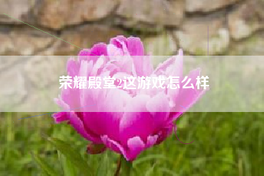 荣耀殿堂2这游戏怎么样