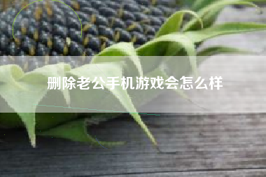 删除老公手机游戏会怎么样