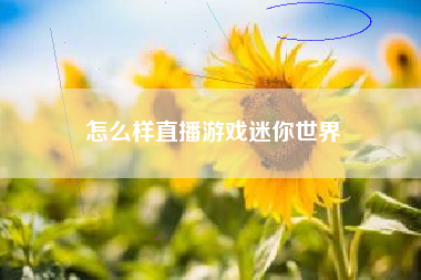 怎么样直播游戏迷你世界