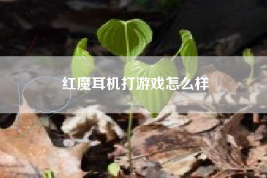 红魔耳机打游戏怎么样