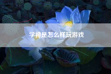 学神是怎么样玩游戏