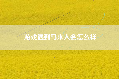 游戏遇到马来人会怎么样