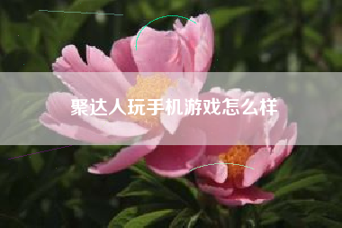 聚达人玩手机游戏怎么样