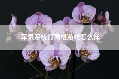 苹果系统打网络游戏怎么样