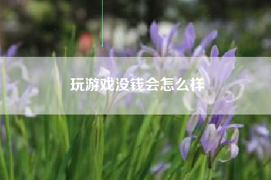 玩游戏没钱会怎么样