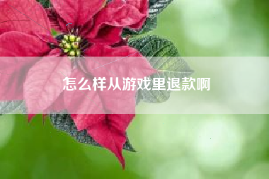 怎么样从游戏里退款啊