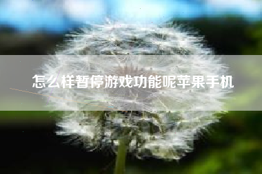 怎么样暂停游戏功能呢苹果手机