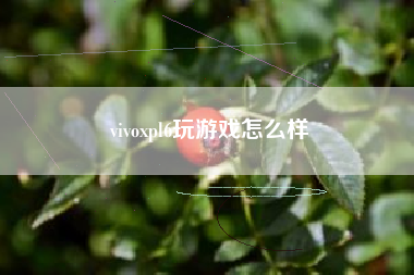 vivoxpl6玩游戏怎么样