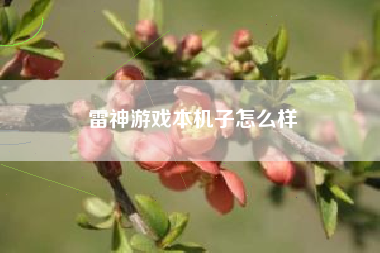 雷神游戏本机子怎么样