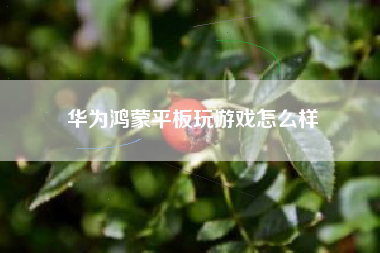 华为鸿蒙平板玩游戏怎么样
