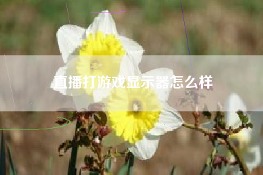 直播打游戏显示器怎么样