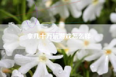 拿几十万玩游戏怎么样