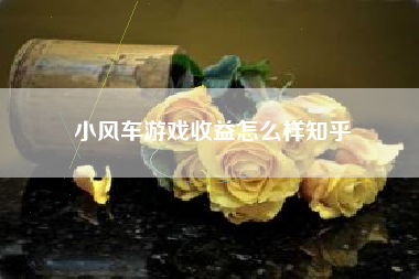 小风车游戏收益怎么样知乎