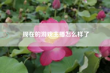 现在的游戏主播怎么样了