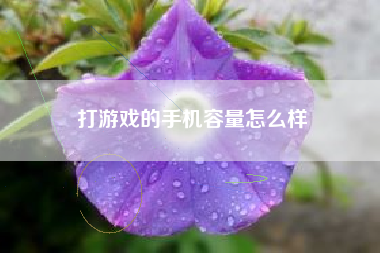 打游戏的手机容量怎么样