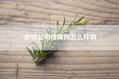 游戏公司传媒岗怎么样啊