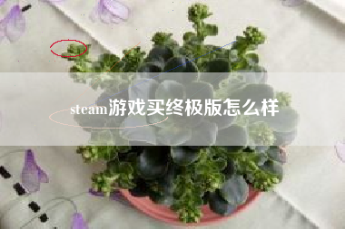 steam游戏买终极版怎么样