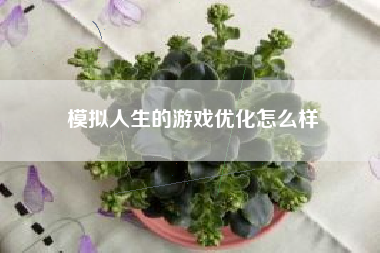 模拟人生的游戏优化怎么样