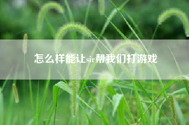 怎么样能让sir帮我们打游戏