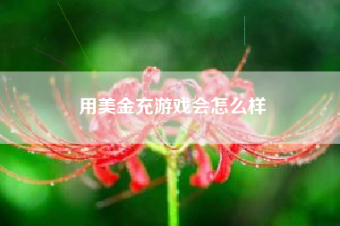 用美金充游戏会怎么样
