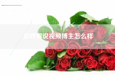 游戏解说视频博主怎么样
