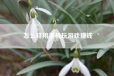 怎么样用手机玩游戏赚钱