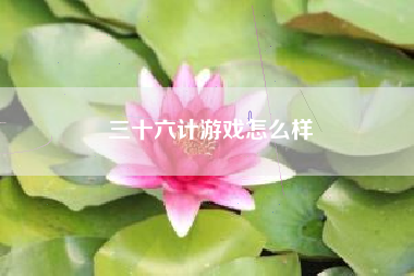 三十六计游戏怎么样
