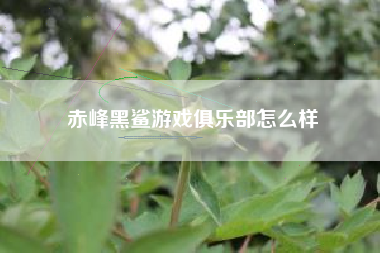 赤峰黑鲨游戏俱乐部怎么样