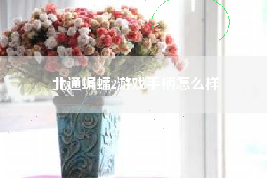 北通蝙蝠2游戏手柄怎么样
