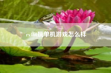 rx460玩单机游戏怎么样