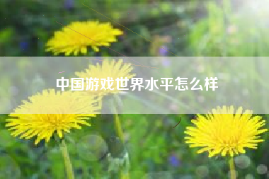 中国游戏世界水平怎么样