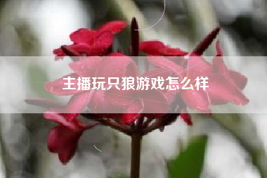 主播玩只狼游戏怎么样