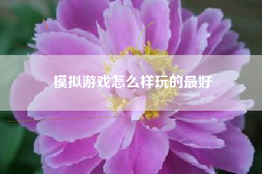 模拟游戏怎么样玩的最好