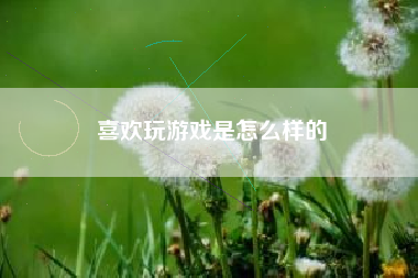 喜欢玩游戏是怎么样的