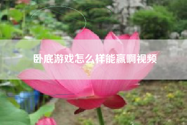 卧底游戏怎么样能赢啊视频