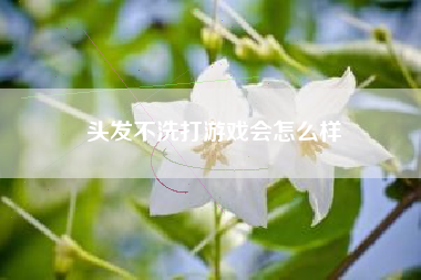 头发不洗打游戏会怎么样