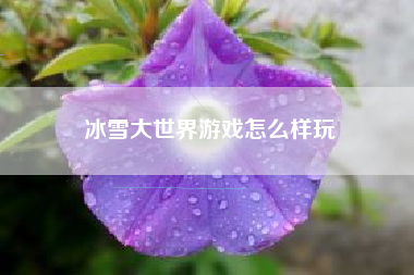 冰雪大世界游戏怎么样玩
