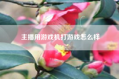 主播用游戏机打游戏怎么样