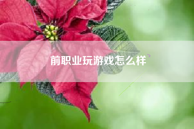 前职业玩游戏怎么样