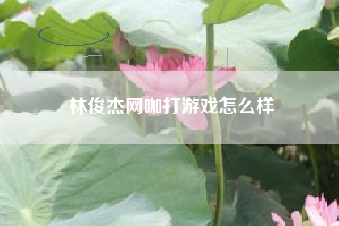 林俊杰网咖打游戏怎么样