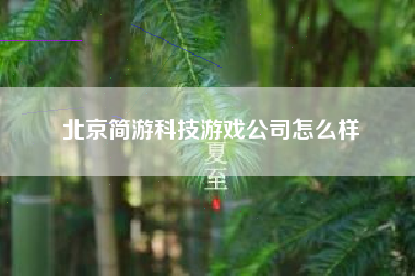 北京简游科技游戏公司怎么样