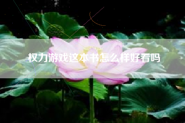 权力游戏这本书怎么样好看吗
