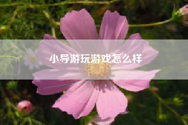 小导游玩游戏怎么样