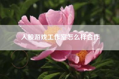 入股游戏工作室怎么样合作
