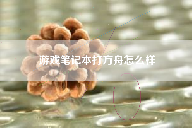 游戏笔记本打方舟怎么样