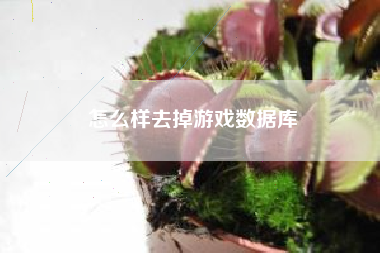 怎么样去掉游戏数据库