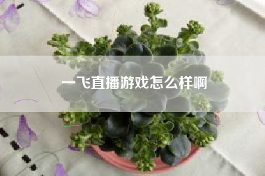 一飞直播游戏怎么样啊